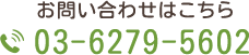 03-6279-5602