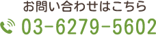 03-6279-5602